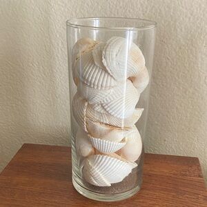 Vintage Seashells & Coral! In a Glass jar